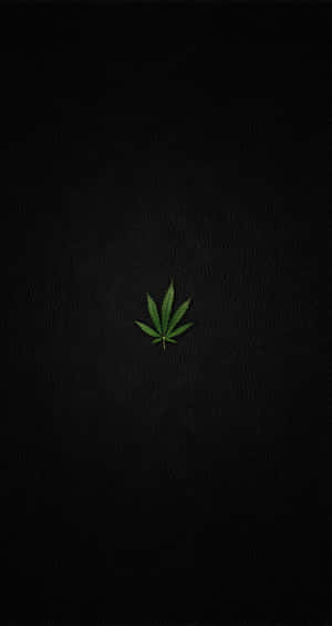 Small Scaled Cannabis Leaf Wallpaper