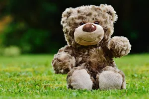 Smiley Teddy Bear Shallow Focus Wallpaper