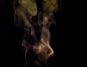 Smoke Fronds Reach Out Wallpaper