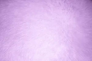 Smooth And Stylish, This Purple Faux Fur Makes A Luxurious Addition To Any Living Space. Wallpaper
