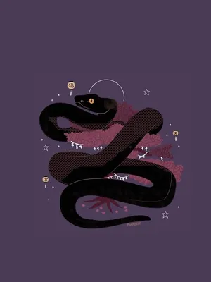 Snake Familiar Wallpaper