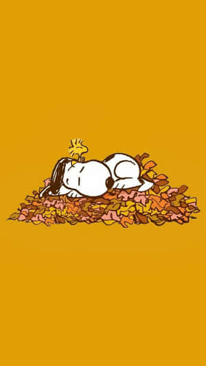 Snoopy Autumn Leavesi Phone Wallpaper Wallpaper