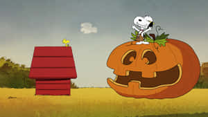 Snoopy The Dog Welcoming Autumn Wallpaper