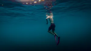 Snorkeling Head Above Water Wallpaper