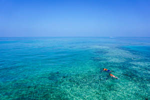 Snorkeling Romantic Couple Activity Wallpaper