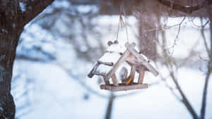 Snow Bird Perched On A Snowy Branch Wallpaper