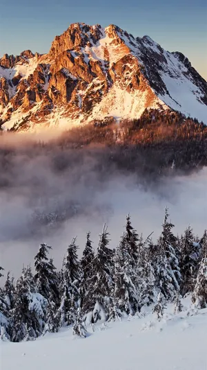 Snow Covered Mount Kilimanjaro Wallpaper