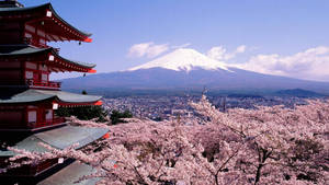 Snow Mt. Fuji Japan Wallpaper