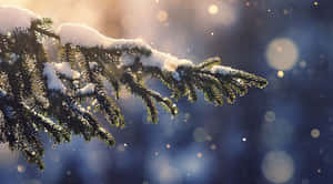 Snow Pine Tree Christmas Aesthetic Computer Wallpaper