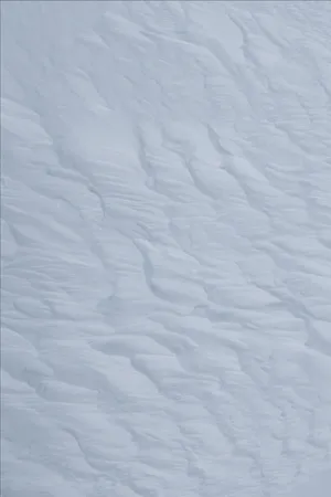 Snow Relief Texture With White And Gray Wallpaper