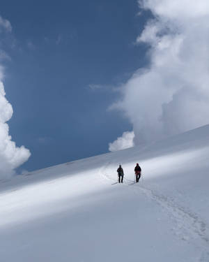 Snow Under Blue Sky Best Desktop Wallpaper