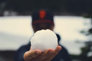 Snowball Readyfor Throw.jpg Wallpaper