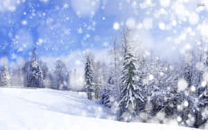 Snowfall Blankets The Landscape In A Inviting Winter Wonderland Wallpaper