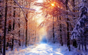 Snowfall Sunrise Morning Wallpaper