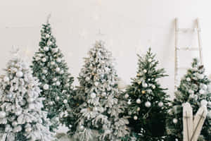 Snowy Christmas Trees Decoration Wallpaper