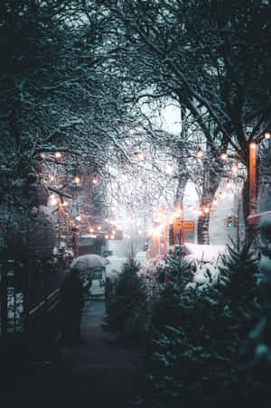 Snowy Evening City Lights Wallpaper