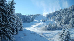 Snowy Forested Hd Mountain Path Wallpaper