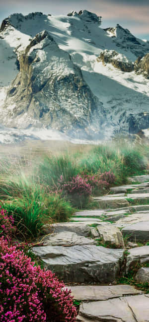 Snowy Hills And Rocky Paths Wallpaper