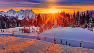 Snowy Landscape Bathed In Winter Sun Wallpaper