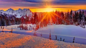 Snowy Landscape Bathed In Winter Sun Wallpaper