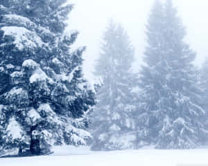 Snowy Landscape In Magical Winter Wonderland Wallpaper