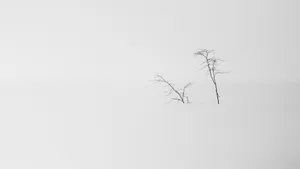 Snowy Landscape Minimalist Aesthetic Laptop Wallpaper