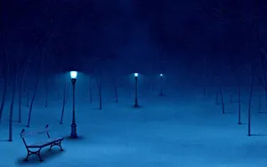Snowy_ Night_ Park_ Scene Wallpaper