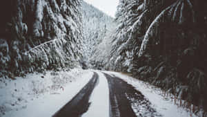 Snowy Road In Wintertime Wallpaper