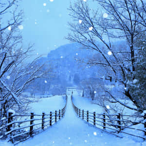 Snowy Road On A Winter's Day Wallpaper