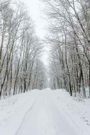 Snowy Road Through A Scenic Winter Wonderland Wallpaper