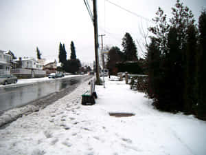 Snowy Suburban Street Burnaby Wallpaper