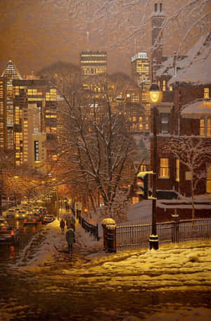 Snowy Walkway Surrounded By Leafless Trees Wallpaper