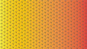 “so Adorable, Much Fun” Wallpaper