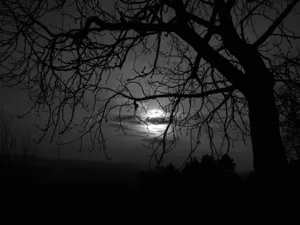 So Sad Full Moon Wallpaper