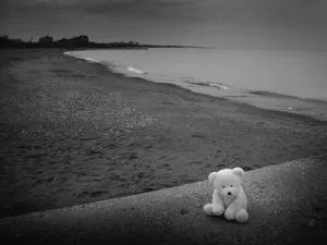 So Sad Teddy Bear Wallpaper