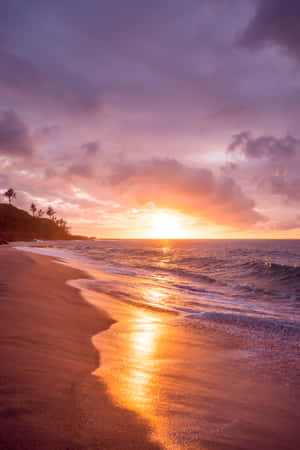 Soak In The Views Of A Gorgeous Beach Sunset Wallpaper