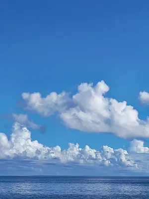 Soar Past The Majestic Blue Horizon. Wallpaper