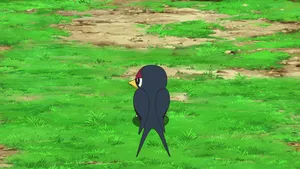 Soar To New Heights With This Colorful Taillow!