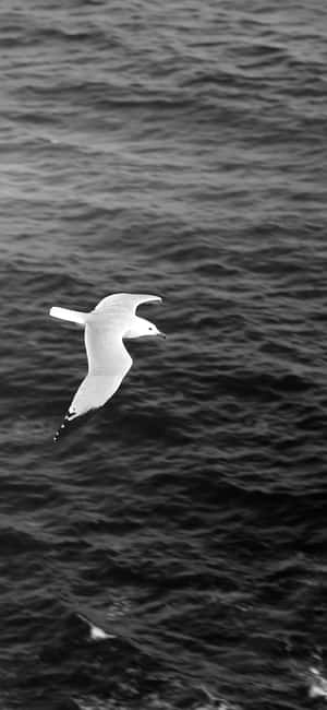 Soaring_ Albatross_ Over_ Ocean_ Waves Wallpaper