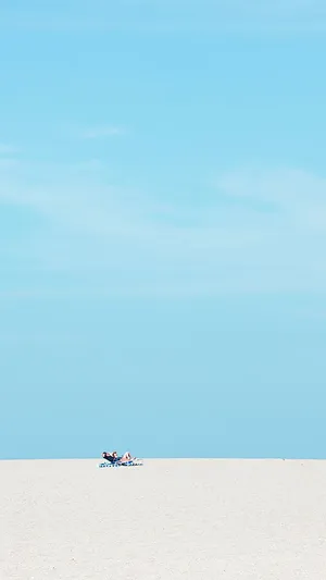 Soaring High In The Minimalist Sky Wallpaper