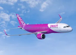 Soaring Peach Aviation Airplane Wallpaper