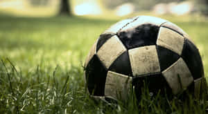 Soccer Ballon Grass Field Wallpaper