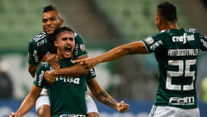 Soccer Celebration Palmeiras Players Wallpaper