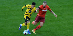 Soccer Match Duel Borussia Dortmundvs F C Cologne Wallpaper