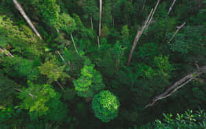 Soccer Player Jumping For The Ball Wallpaper