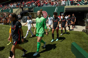 Soccer Team Walking Out For Match Wallpaper