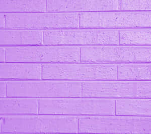 Soft And Elegant Lilac Color Wallpaper