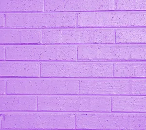 Soft And Elegant Lilac Color Wallpaper