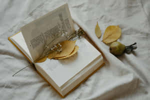 Soft Beige Book And Dried Leaves Wallpaper