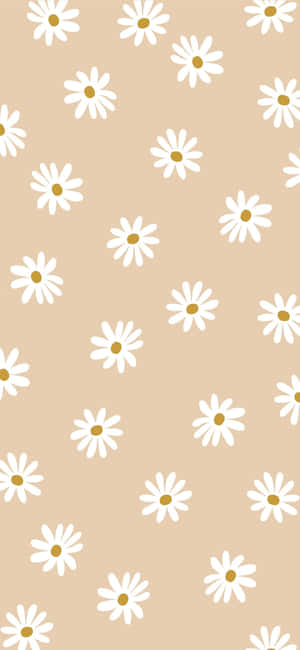 Soft Beige Daisy Pattern.jpg Wallpaper